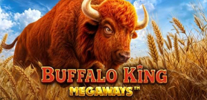 Buffalo King Megaways