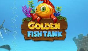 Golden Fish Tank