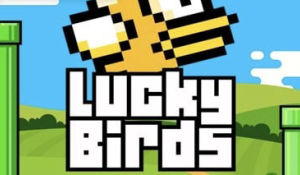 Lucky Birds