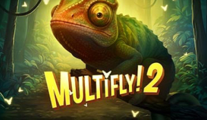 MultiFly! 2 MultiMax